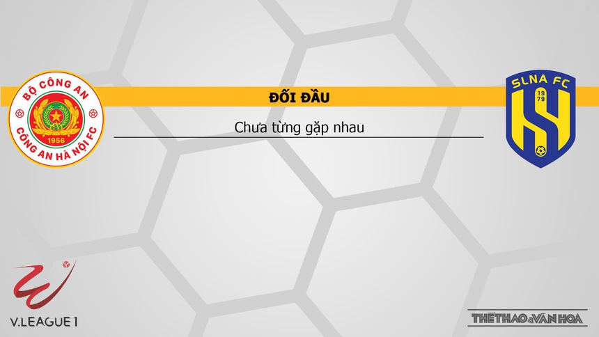 Nhận định CAHN vs SLNA (19h15, 26/5), V-League vòng 9 - Ảnh 3.