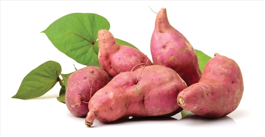 Loại củ bán rẻ như cho, biết dùng lại là 'thuốc' làm trẻ tế bào ngừa ung thư, sạch mỡ máu - Ảnh 1.