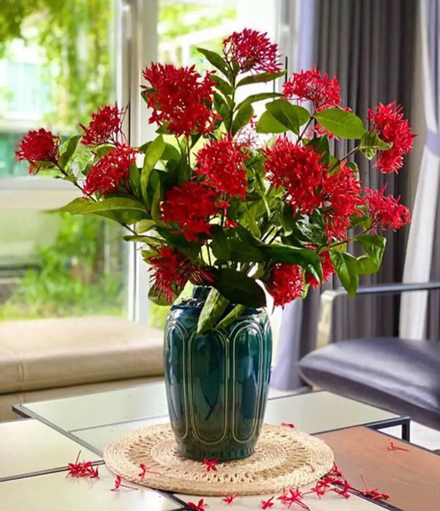 Chưng 6 loài hoa này trên bàn thờ Thần Tài sẽ giúp gia chủ chiêu tài hút lộc - Ảnh 4.