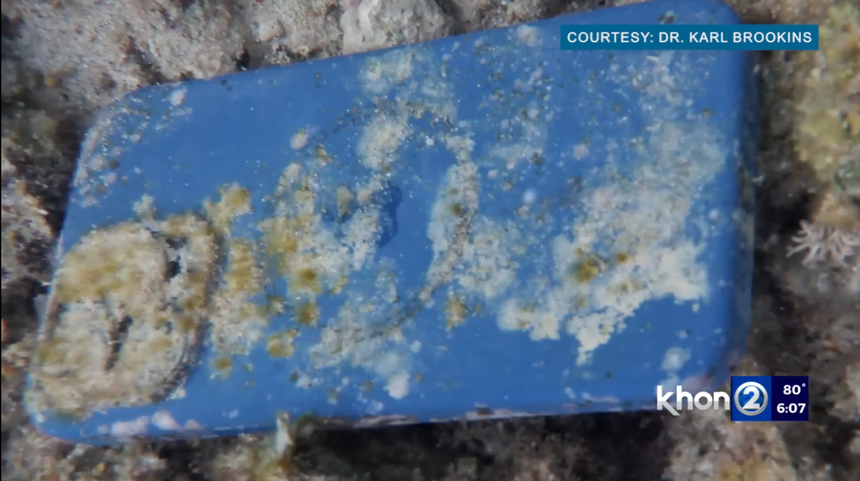 iPhone 14 vẫn hoạt động bình thường sau khi nằm dưới đáy đại dương suốt 33 ngày - Ảnh 1.