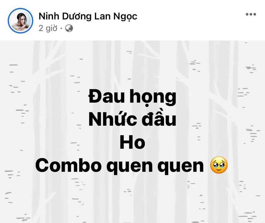 Tình trạng sức khỏe hiện tại của Ninh Dương Lan Ngọc sau loạt dấu hiệu gây lo lắng - Ảnh 1.