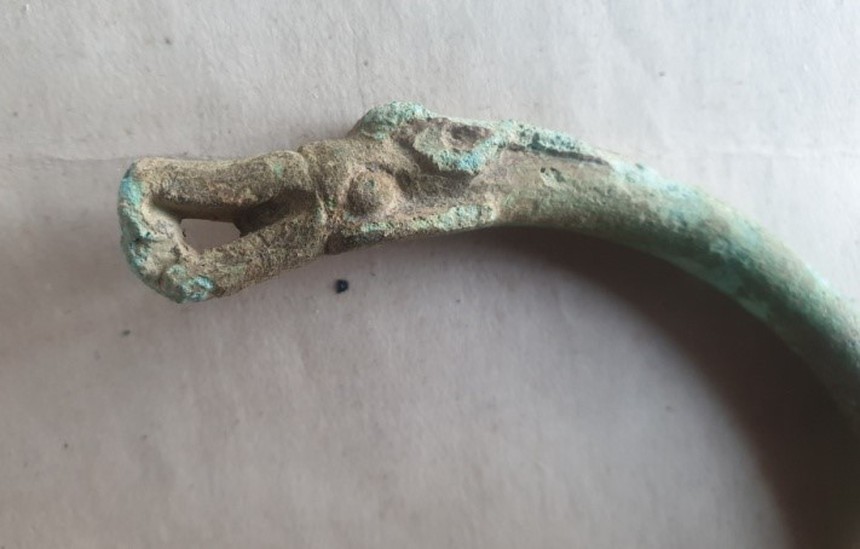 Đêm đêm rì rầm trong tiếng đất: Khổng Tước và Giao Long trên nền tảng nghệ thuật Đông Sơn - Ảnh 8.