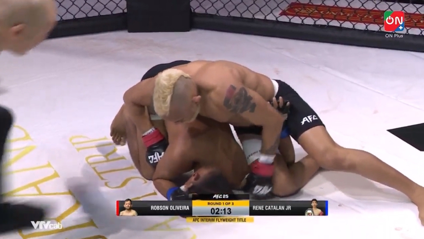 Võ sĩ Brazil mang quốc kỳ Việt Nam chứng tỏ đẳng cấp khi thắng ngoạn mục trong 100 giây để vô địch AFC 25 - Ảnh 2.