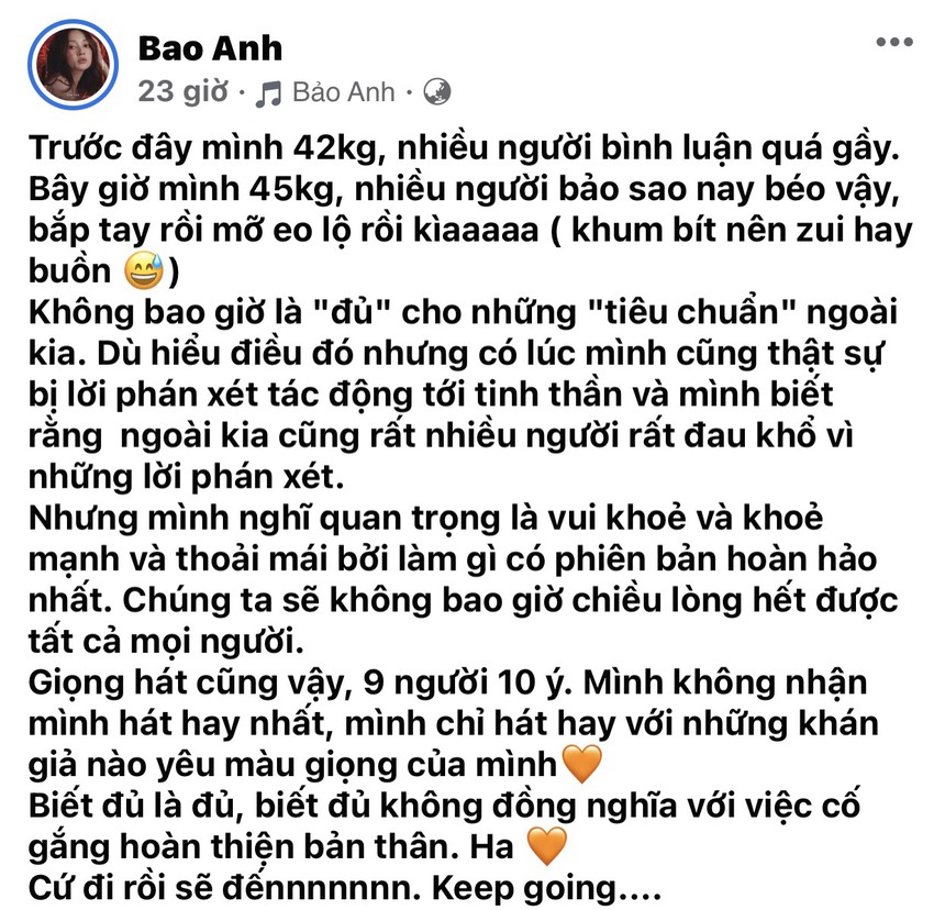 Bảo Anh và loạt sao Việt bị miệt thị ngoại hình - Ảnh 1.