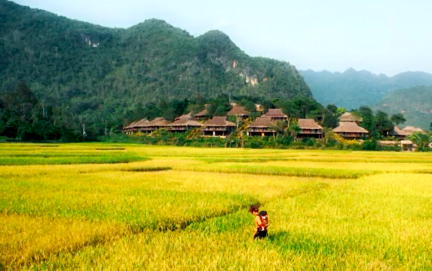 Xúc động MV ‘Địu con đi nhà trẻ’ của ca sĩ Mai Chi - Ảnh 2.