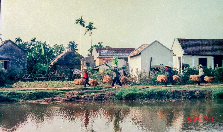 Cuộc đời sau ống kính: Ngày mùa 1/4 thế kỷ trước - Ảnh 1.