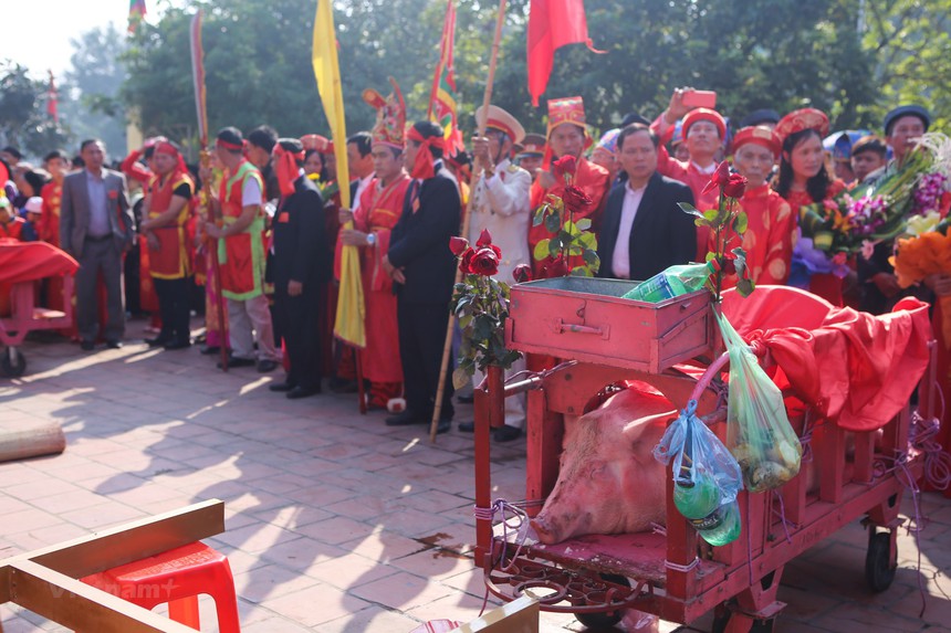 Lễ hội sử dụng động vật nên thay đổi thế nào? - Ảnh 2.