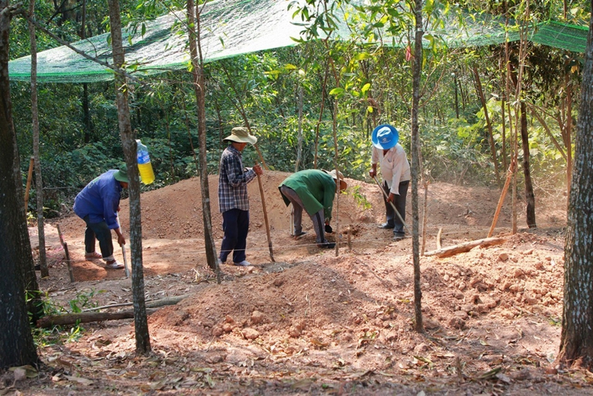 Đề nghị công nhận Đàn tế giao thời Tây Sơn là Di tích quốc gia đặc biệt - Ảnh 2.