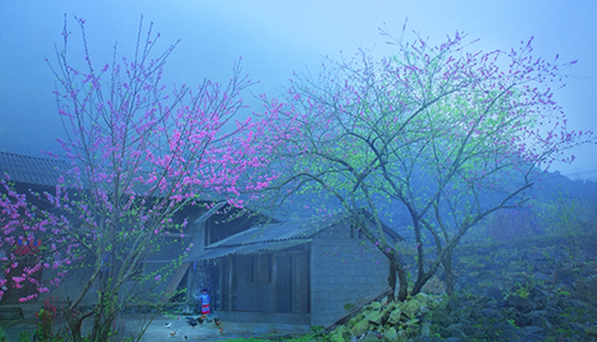 Gặp lại các tác giả được đưa vào sách giáo khoa - Nhà thơ - nghệ sĩ nhiếp ảnh Bình Nguyên: 'Mẹ là đề tài muôn thuở của thi ca' - Ảnh 5.