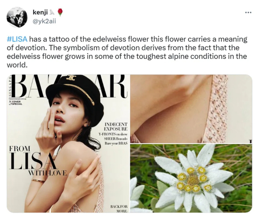 Ý nghĩa đằng sau hình xăm Lisa Blackpink để lộ tại sự kiện Bulgari - Ảnh 4.