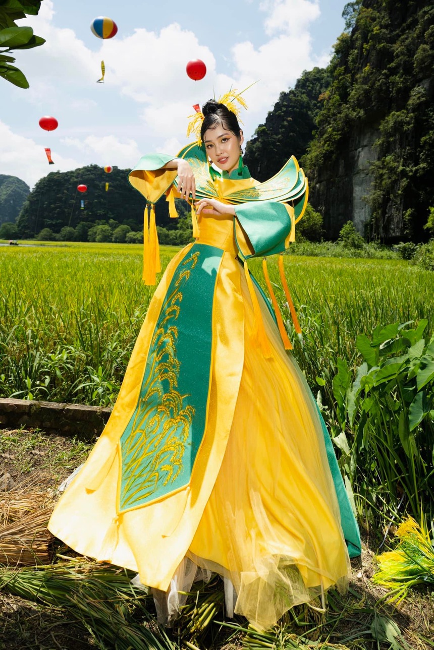 Hoa hậu Nông Thúy Hằng nhận bằng tốt nghiệp loại Giỏi, đập tan tin đồn về học vấn - Ảnh 4.