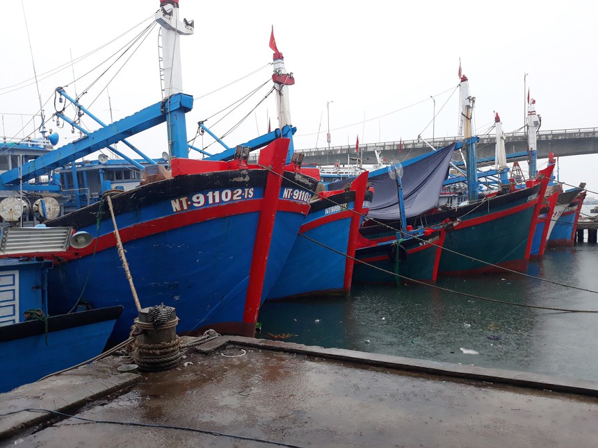 Chủ động ứng phó với vùng áp thấp có thể mạnh lên thành áp thấp nhiệt đới - Ảnh 1.