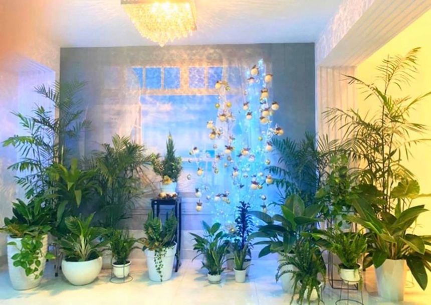 MC Quyền Linh: Tổ ấm xa hoa được vợ thiết kế với khu vườn tại gia khiến khán giả 'trầm trồ' - Ảnh 6. MC Quyền Linh: Tổ ấm xa hoa được vợ thiết kế với khu vườn tại gia khiến khán giả 'trầm trồ' - Ảnh 6.