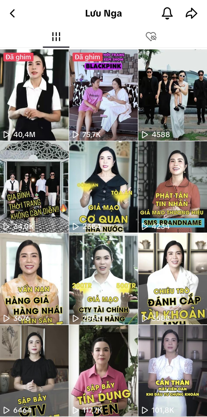 CEO Lưu Nga cảnh báo hành vi lừa đảo trên mạng - Ảnh 2.