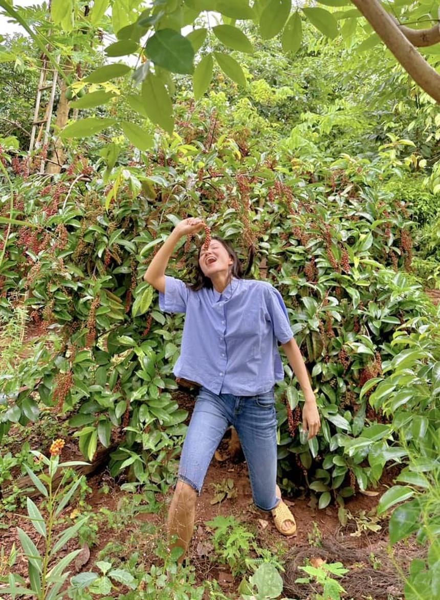 Sao Việt 22/7: Hứa Vĩ Văn hội ngộ trai đẹp Harry Lu, Hoa hậu H'Hen Niê ăn mặc giản dị lên rẫy xem cà phê - Ảnh 2.