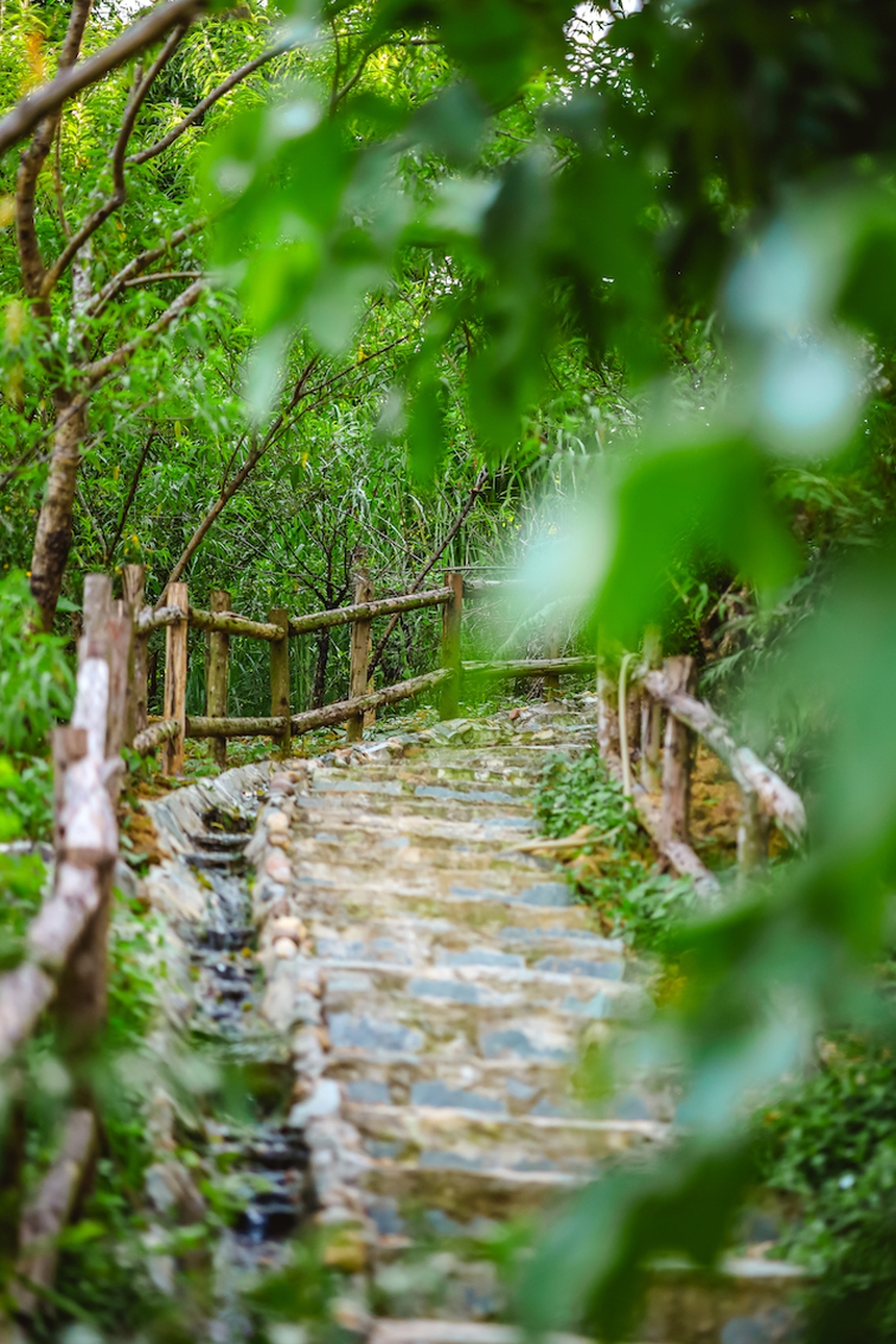 Vườn mẫu đơn đỏ rực lưng chừng đồi ở Hà Nội - điểm check in mới của hội chị em “sống ảo” - Ảnh 12.