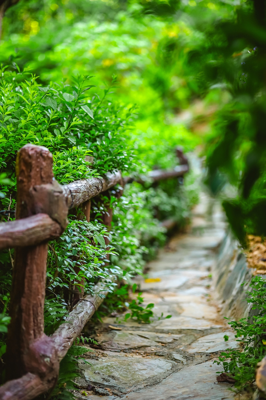 Vườn mẫu đơn đỏ rực lưng chừng đồi ở Hà Nội - điểm check in mới của hội chị em “sống ảo” - Ảnh 14.