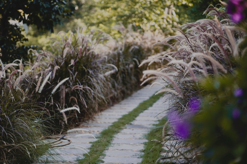 Vườn mẫu đơn đỏ rực lưng chừng đồi ở Hà Nội - điểm check in mới của hội chị em “sống ảo” - Ảnh 13.