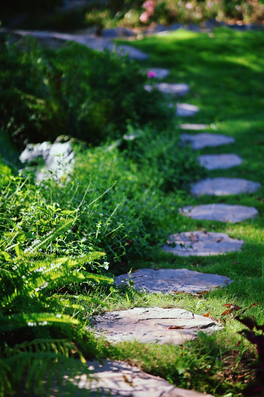 Vườn mẫu đơn đỏ rực lưng chừng đồi ở Hà Nội - điểm check in mới của hội chị em “sống ảo” - Ảnh 15.