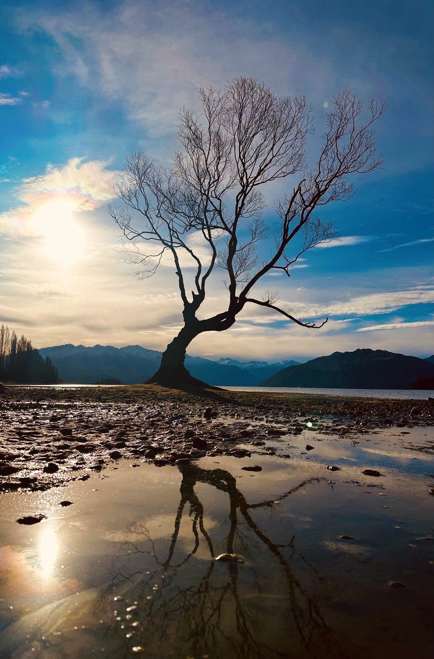 Có một cuộc sống ngọt ngào ở Queenstown - Ảnh 3.