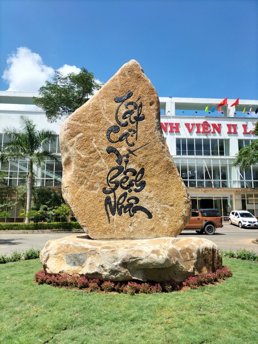 Người quan sát: Vì lợi ích 10 năm trồng cây... - Ảnh 1.