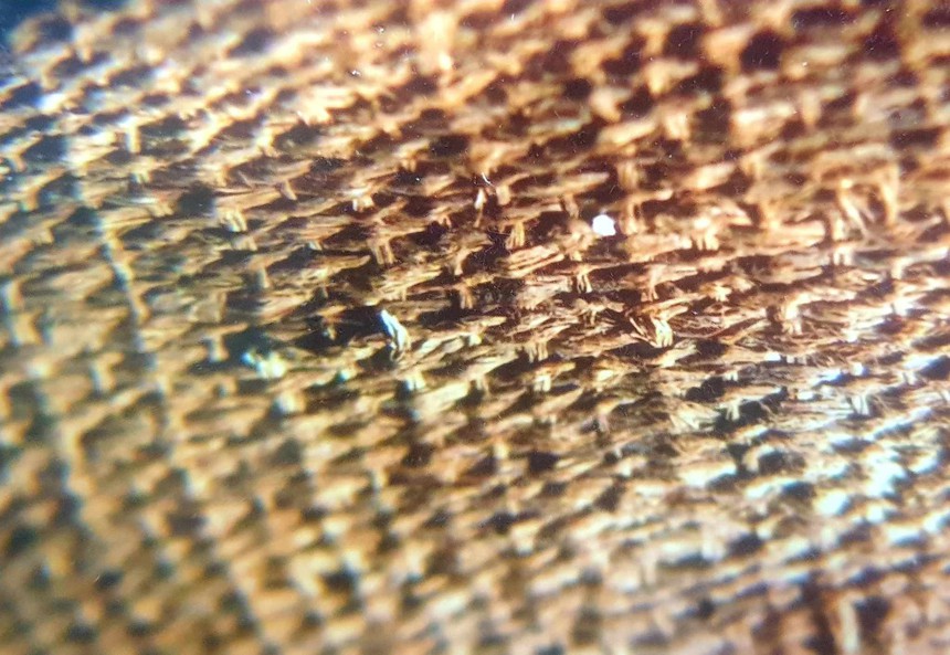 Đêm đêm rì rầm trong tiếng đất: Viết tiếp về những ngôi mộ táng trẻ em thời Đông Sơn - Ảnh 3.