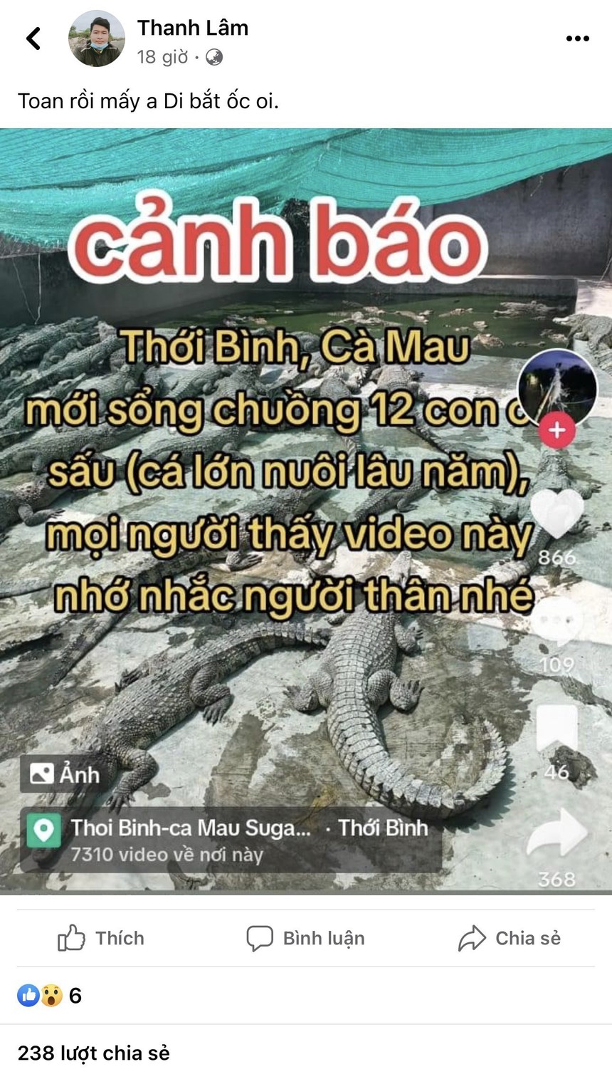 Cà Mau: Xác minh, xử lý chủ tài khoản Facebook đăng thông tin cá sấu sổng chuồng - Ảnh 1. Cà Mau: Xác minh, xử lý chủ tài khoản Facebook đăng thông tin cá sấu sổng chuồng - Ảnh 1.