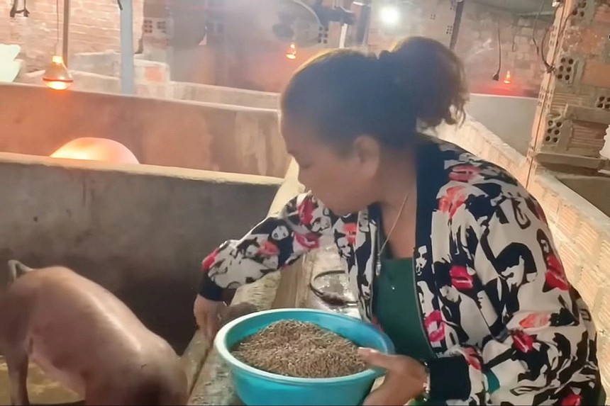 Lý do Siu Black làm đám cưới với cựu tuyển thủ bóng chuyền vào năm sau - Ảnh 6.