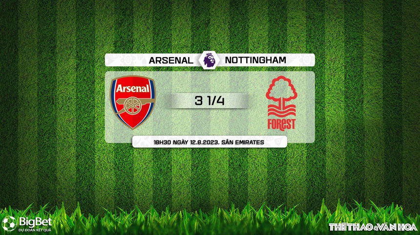 Nhận định, soi kèo Arsenal vs Nottingham Forest (18h30, 12/8), Ngoại hạng Anh vòng 1 - Ảnh 9.