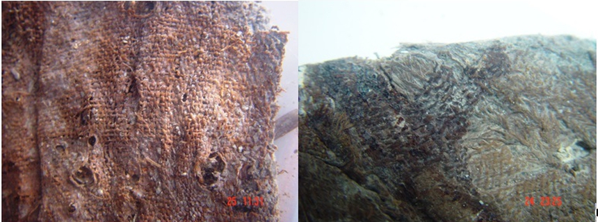 Đêm đêm rì rầm trong tiếng đất - Thế giới người lớn Đông Sơn (kỳ 5): Câu chuyện 'không phải đàn ông luôn cao hơn phụ nữ' - Ảnh 4.