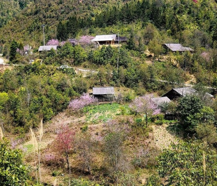 Séo Mý Tỷ đốn tim dân phượt với tuyệt cảnh cắm trại trên mây, vào mùa hoa nở ngất ngây cả bản làng - Ảnh 13.