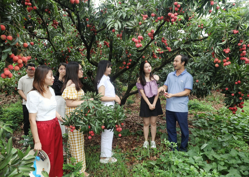 Chị Hằng biên tập - Bắc Giang phát triển các điểm đến và sản phẩm du lịch nông thôn - Ảnh 1.