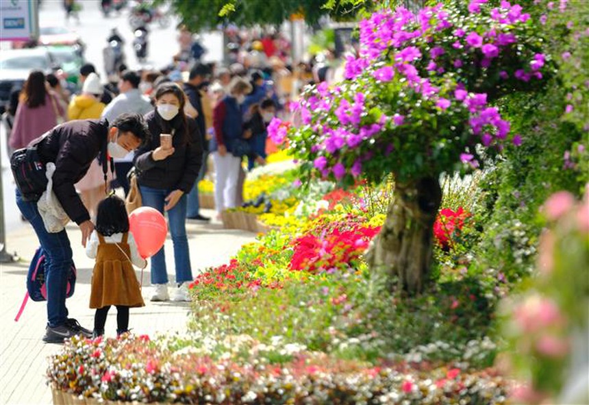 Xây dựng thành phố sáng tạo, biến văn hóa thành trụ cột của sự phát triển - Ảnh 2.