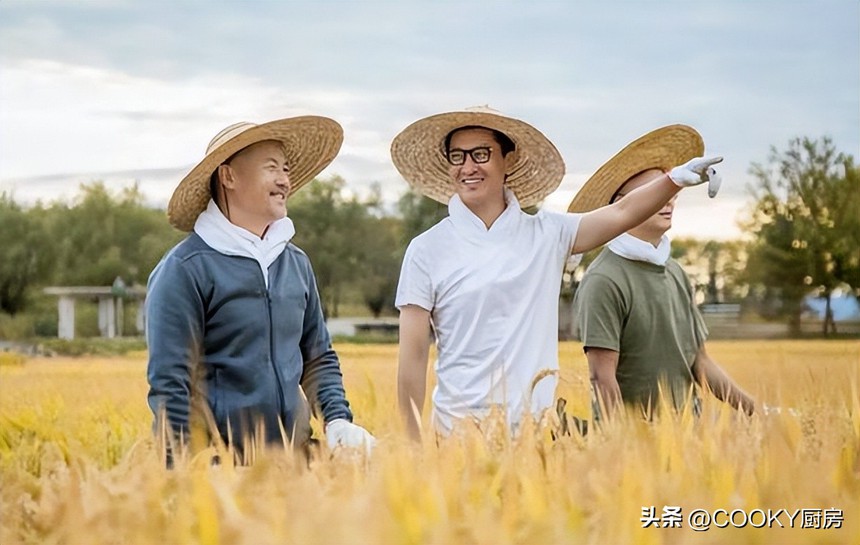 Sau thành công với 'Hoàn Châu cách cách', người mất hình ảnh vì bê bối, người về quê làm nông… - Ảnh 23. Sau thành công với 'Hoàn Châu cách cách', người mất hình ảnh vì bê bối, người về quê làm nông… - Ảnh 23.