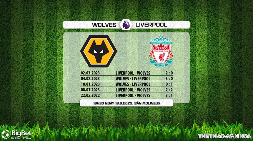 Nhận định bóng đá Wolves vs Liverpool (18h30, 16/9), Ngoại hạng Anh vòng 5 - Ảnh 5. Nhận định bóng đá Wolves vs Liverpool (18h30, 16/9), Ngoại hạng Anh vòng 5 - Ảnh 5.