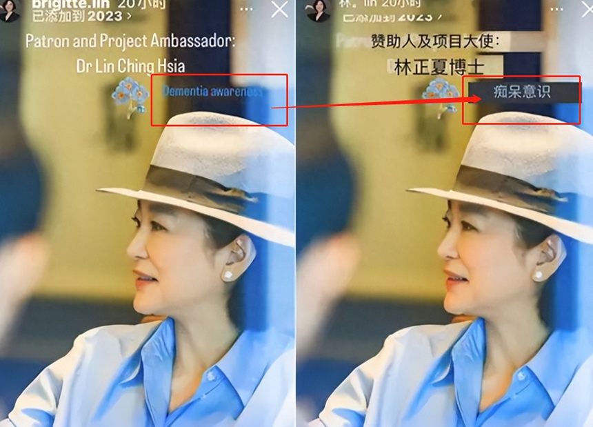 Rộ tin 'Đông Phương Bất Bại' Lâm Thanh Hà mắc chứng Alzheimer - Ảnh 1.