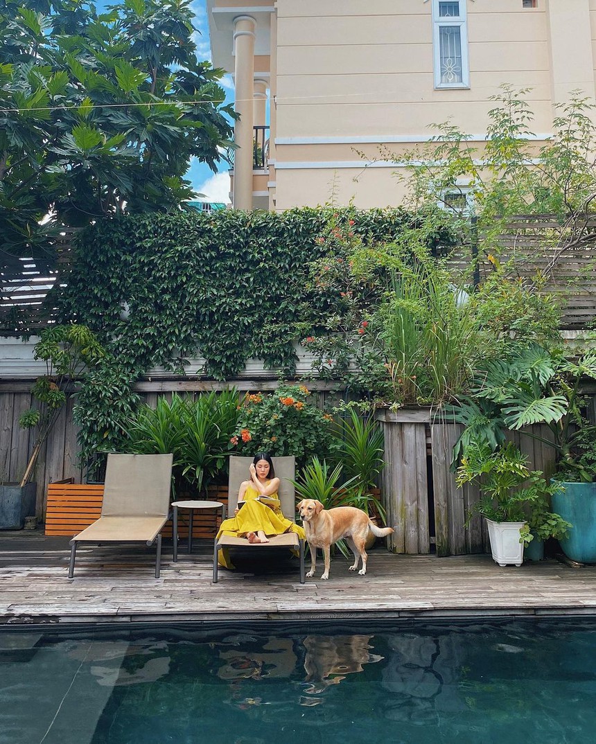 Dâu hào môn Tăng Thanh Hà làm nông mát tay: Thành quả thu hoạch mướt mắt - Ảnh 7.