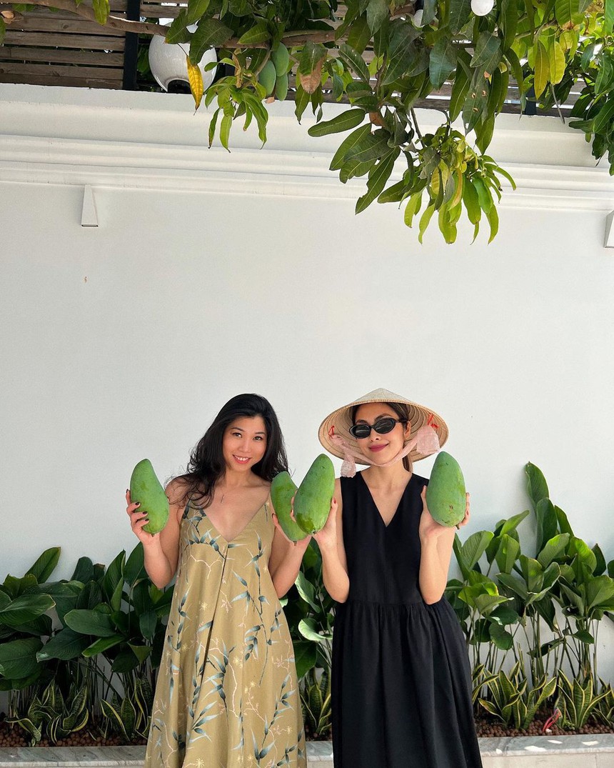 Dâu hào môn Tăng Thanh Hà làm nông mát tay: Thành quả thu hoạch mướt mắt - Ảnh 4.