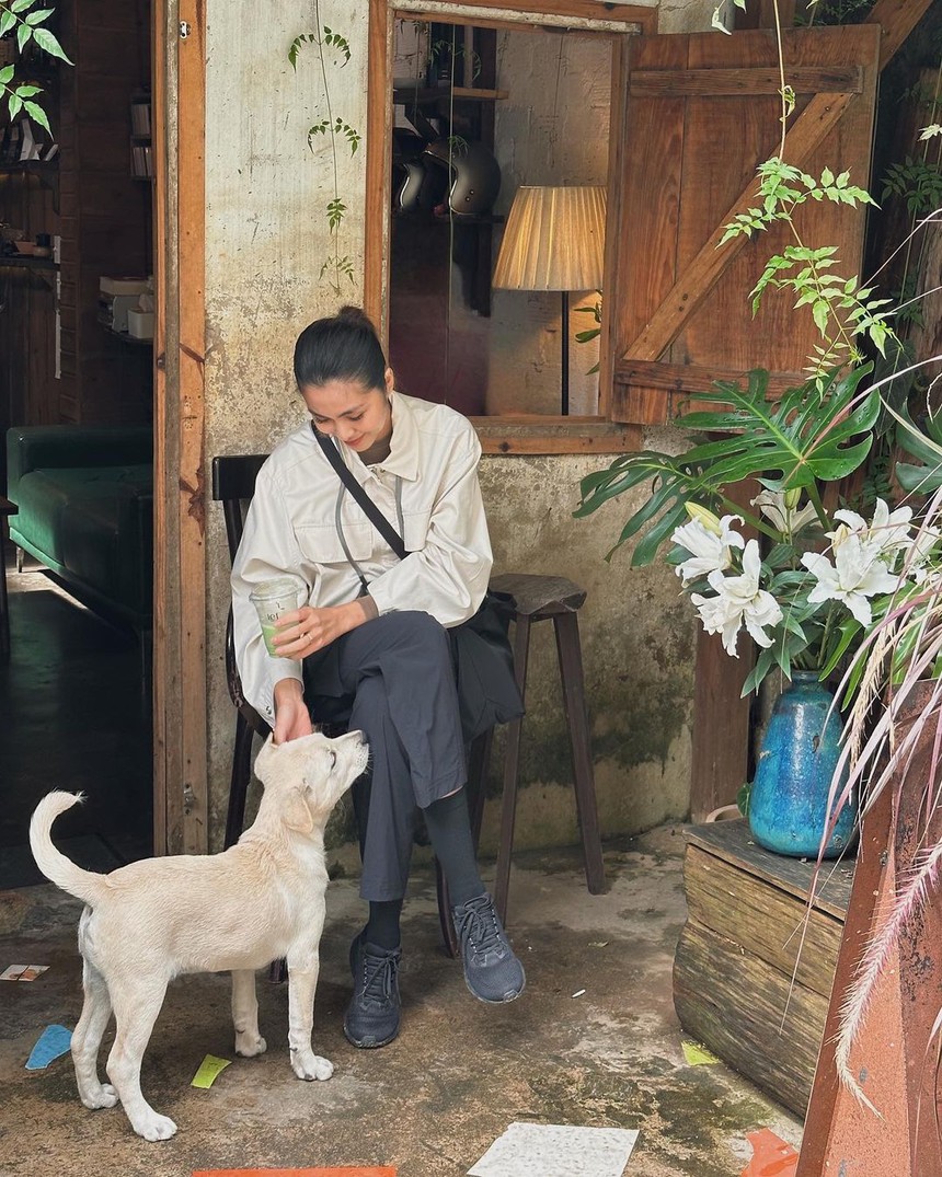 Dâu hào môn Tăng Thanh Hà làm nông mát tay: Thành quả thu hoạch mướt mắt - Ảnh 12.