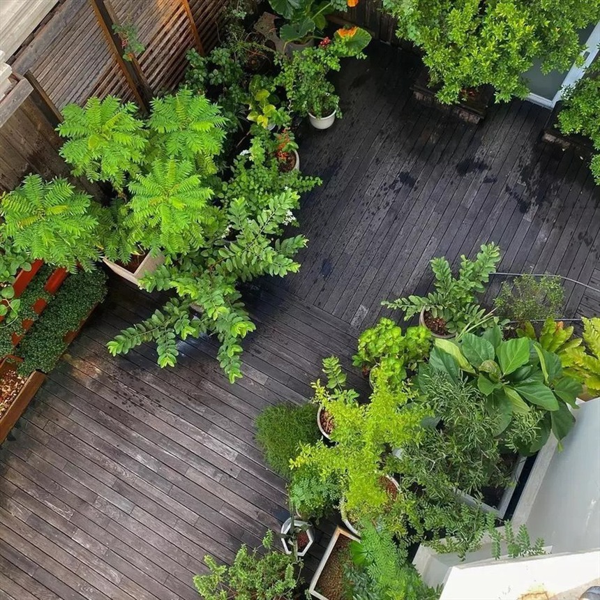 Dâu hào môn Tăng Thanh Hà làm nông mát tay: Thành quả thu hoạch mướt mắt - Ảnh 6.