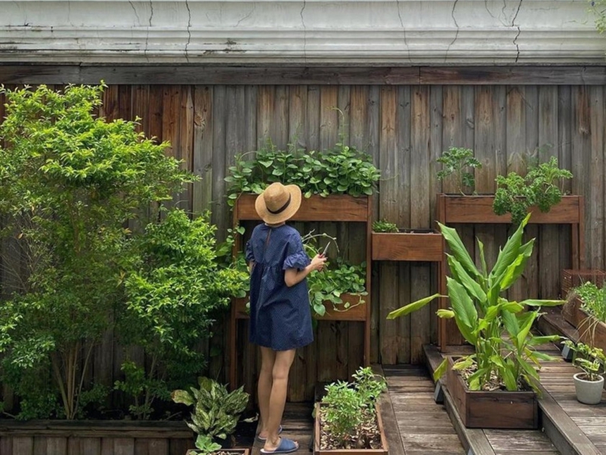 Dâu hào môn Tăng Thanh Hà làm nông mát tay: Thành quả thu hoạch mướt mắt - Ảnh 5.