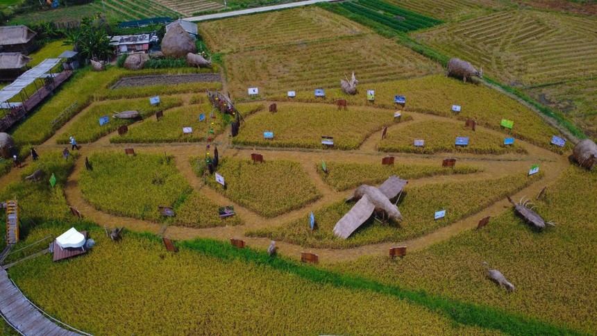 Võ Rin - Nhiếp ảnh gia tận hiến cho thiên nhiên - Ảnh 4. Võ Rin - Nhiếp ảnh gia tận hiến cho thiên nhiên - Ảnh 4.