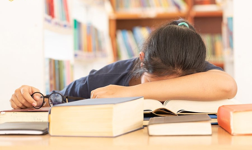 Rối loạn lo âu vì áp lực học tập - Ảnh 1. Rối loạn lo âu vì áp lực học tập - Ảnh 1.