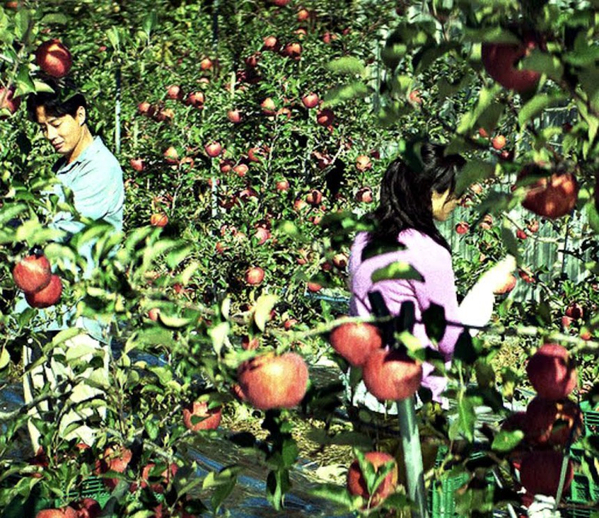 (TIN T7) 6 chi tiết đắt giá của 'Moving' mà khán giả có thể bỏ lỡ - Ảnh 12.