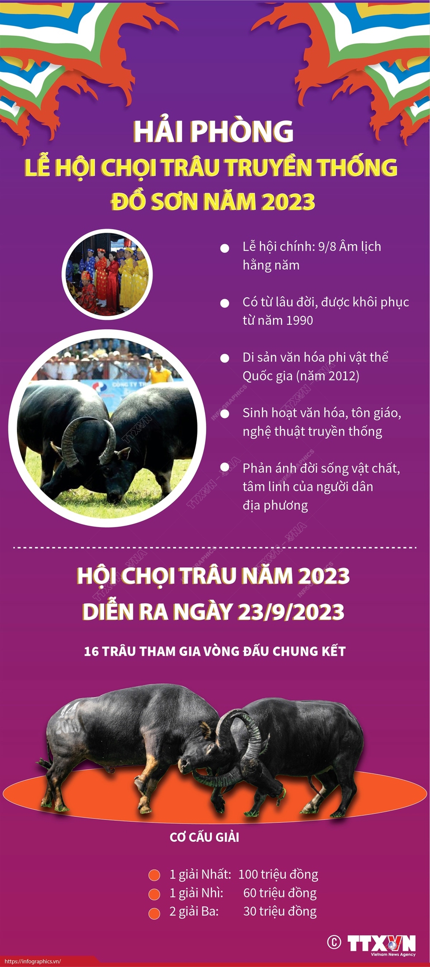 Hải Phòng: Lễ hội chọi trâu truyền thống Đồ Sơn năm 2023 - Ảnh 1. Hải Phòng: Lễ hội chọi trâu truyền thống Đồ Sơn năm 2023 - Ảnh 1.