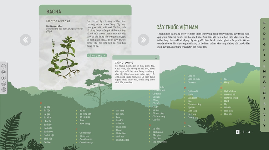 Đề cử Giải Bùi Xuân Phái – Vì tình yêu Hà Nội lần 16 - 2023: Tôn vinh núi thiêng Ba Vì bằng công nghệ số - Ảnh 6.