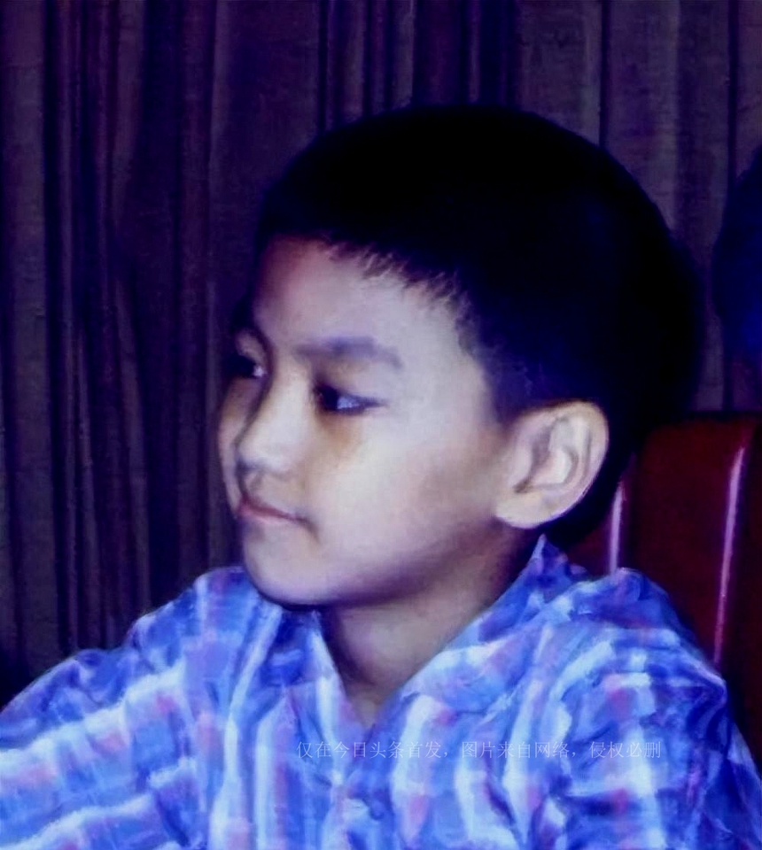 Sự 'biến mất' đầy tiếc nuối của 'Triển Chiêu' Hà Gia Kính trong nền giải trí - Ảnh 2.