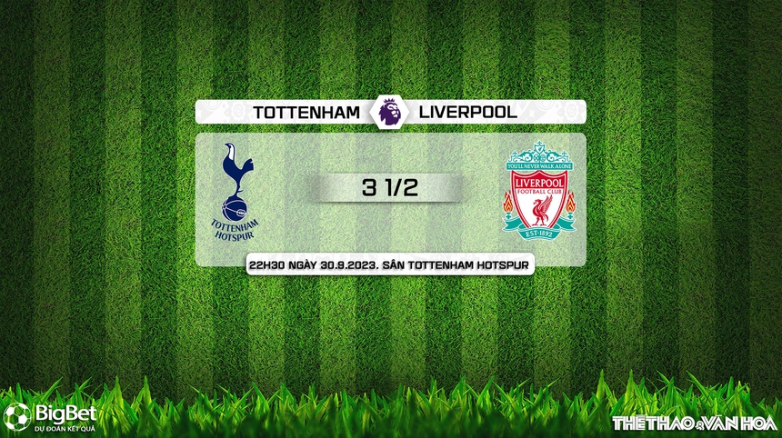 Nhận định bóng đá Tottenham vs Liverpool (23h30, 30/9), vòng 7 Ngoại hạng Anh - Ảnh 9. Nhận định bóng đá Tottenham vs Liverpool (23h30, 30/9), vòng 7 Ngoại hạng Anh - Ảnh 9.
