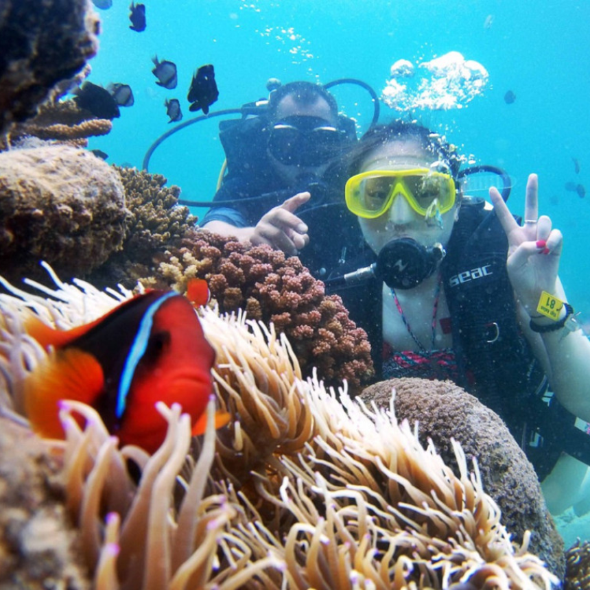 Lặn ngắm san hô, lướt cano khám phá Vĩnh Hy - "đôi mắt biếc" của Ninh Thuận  - Ảnh 15.