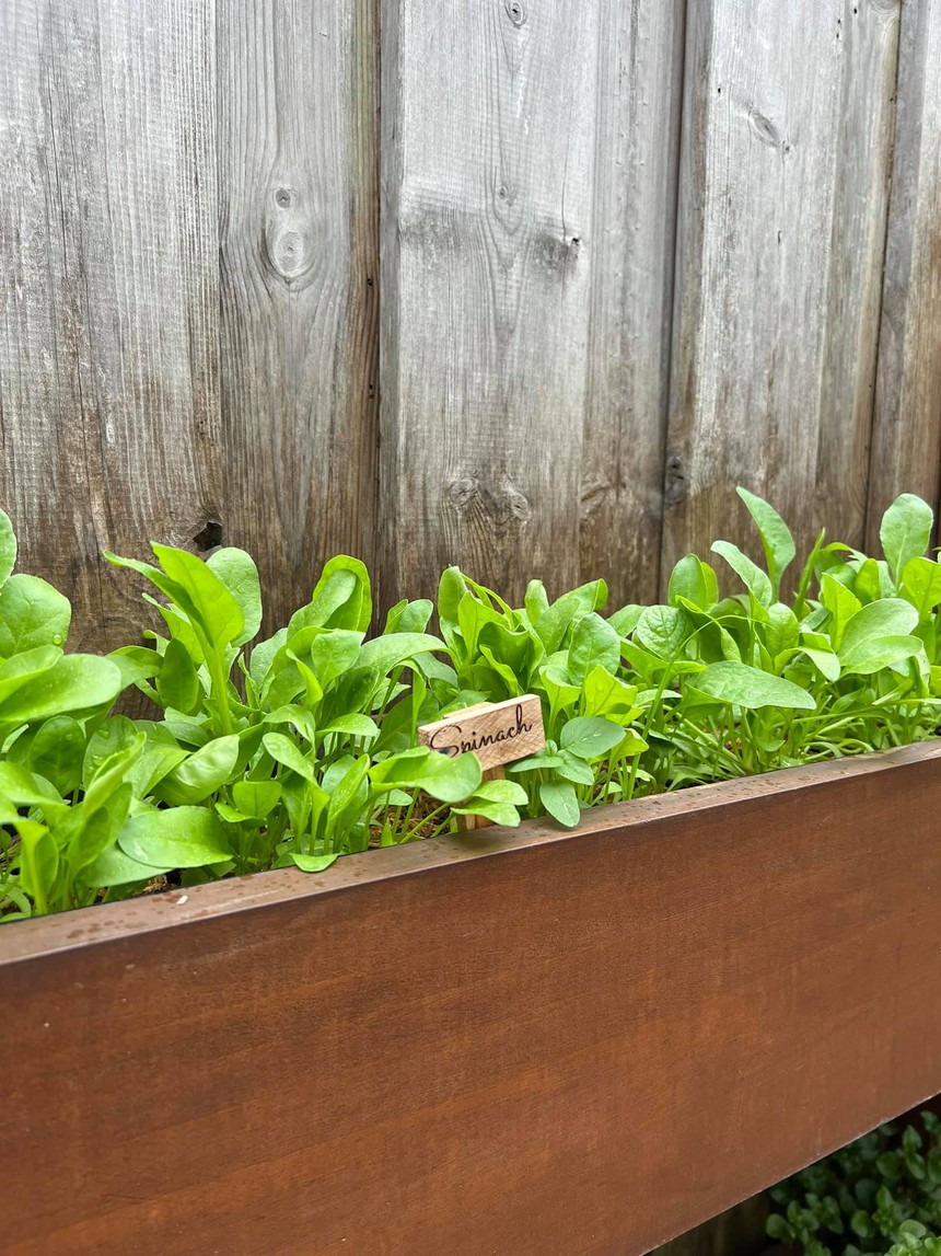 Hà Tăng, Phan Hiển và loạt sao Việt mát tay khi trổ tài làm nông - Ảnh 6.